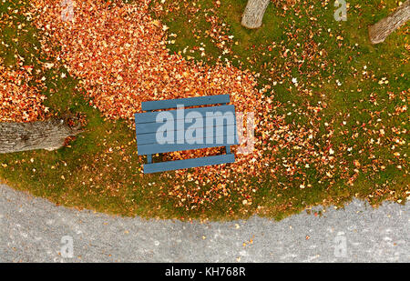 Antenne de pôle d'allée du parc avec les feuilles d'automne, sentier de pierre concassée, bleu table de pique-nique, d'herbe et d'arbres. Banque D'Images