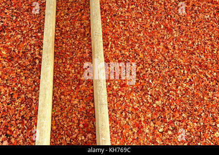 Antenne pôle image de feuilles d'automne entourant deux murs en béton. Banque D'Images