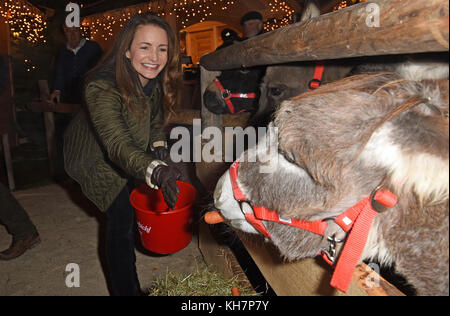 Salzbourg, Autriche. 14 novembre 2017. L'actrice américaine Kristin Davis souriant lors de l'inaguration traditionnelle du marché de Noël au manoir Aiderbichl à Henndorf près de Salzbourg, Autriche, le 14 novembre 2017. Crédit : Ursula Düren/dpa/Alamy Live News Banque D'Images