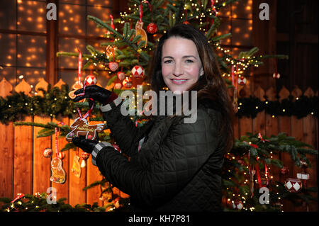 Salzbourg, Autriche. 14 novembre 2017. L'actrice américaine Kristin Davis souriant lors de l'inaguration traditionnelle du marché de Noël au manoir Aiderbichl à Henndorf près de Salzbourg, Autriche, le 14 novembre 2017. Crédit : Ursula Düren/dpa/Alamy Live News Banque D'Images