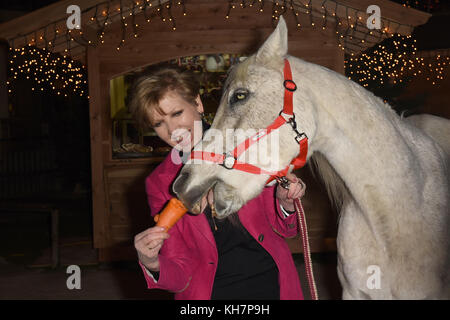 Salzbourg, Autriche. 14 novembre 2017. La modératrice Carolin Reiber, invitée de la traditionnelle inaguration du marché de Noël au manoir Aiderbichl à Henndorf près de Salzbourg, Autriche, le 14 novembre 2017. Crédit : Ursula Düren/dpa/Alamy Live News Banque D'Images