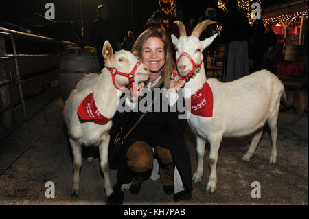 Salzbourg, Autriche. 14 novembre 2017. La princesse Isabelle Minzi de Hohenlohe-Jagstberg, invitée de la traditionnelle inaguration du marché de Noël au Manoir Aiderbichl à Henndorf près de Salzbourg, Autriche, le 14 novembre 2017. Crédit : Ursula Düren/dpa/Alamy Live News Banque D'Images