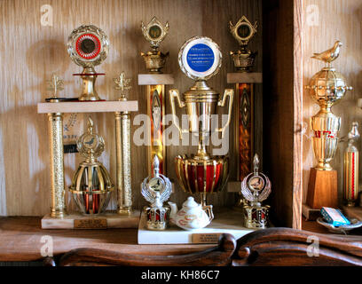 Belgique : images obsédantes ont révélé une importante collection de trophées dans une maison abandonnée qui semble comme s'il a été figé dans le temps. La seri Banque D'Images