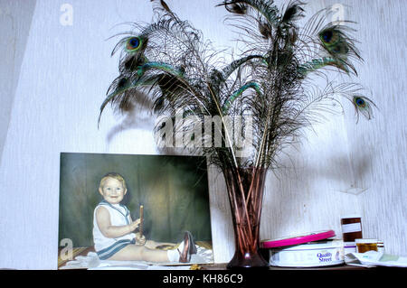 Belgique : images obsédantes ont révélé une importante collection de trophées dans une maison abandonnée qui semble comme s'il a été figé dans le temps. La seri Banque D'Images