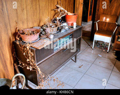Belgique : images obsédantes ont révélé une importante collection de trophées dans une maison abandonnée qui semble comme s'il a été figé dans le temps. La seri Banque D'Images