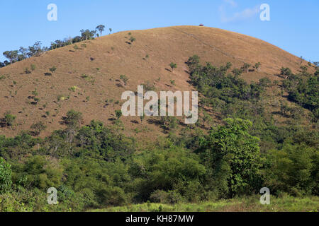 Collines de chocolat près de Coron, Philippines Banque D'Images