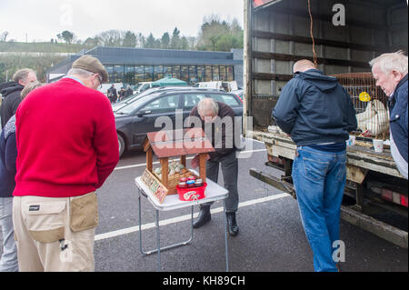 Corinella Samedi Farmers Market, West Cork, Irlande - commerçants vendant des poules pondeuses, des œufs et des confitures avec les clients de consulter. Banque D'Images