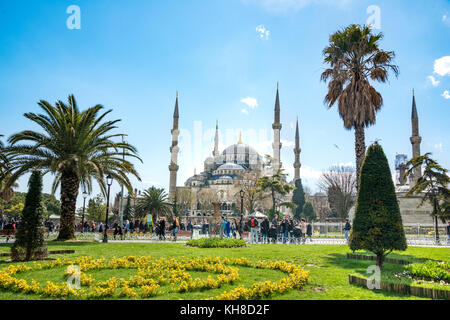 Mosquée bleue, Sultan Ahmet Camii, fleurs dans le parc du sultan Ahmed, Sultanahmet, partie européenne, Istanbul, Turquie Banque D'Images