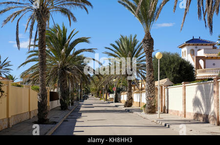 Rue bordée de palmiers, vide de Cabo Roig. costa blanca espagne. Banque D'Images
