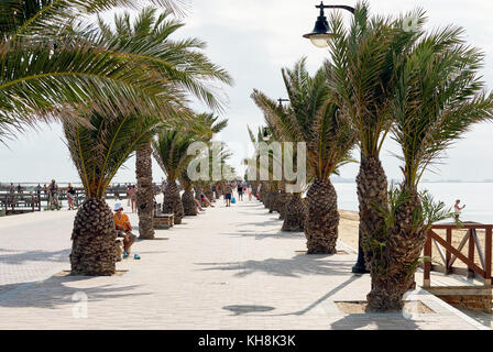 San Pedro del Pinatar, Espagne - 23 novembre 2017 : Palm-menti promenade de San Pedro del Pinatar, coeur touristique de la Costa Calida. Ce petit seasid Banque D'Images