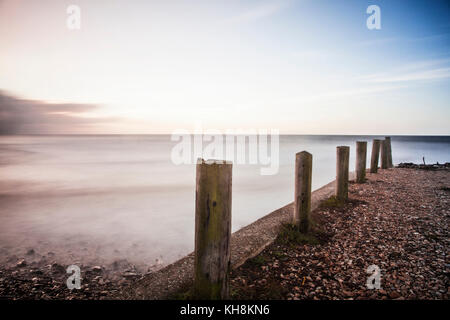 Une simple image d'épis sur la plage à Charmouth dans le Dorset. Banque D'Images
