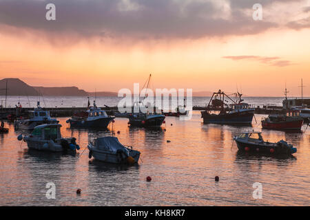 Lever du soleil sur le port à Lyme Regis, dans le Dorset, UK. Banque D'Images