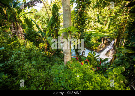 La Jamaïque eaux tropicales paradis vert Banque D'Images