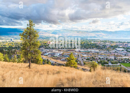 Arbres de pin ponderosa et de graminées sur mont knox avec vue sur la ville de Kelowna et les montagnes dans la distance Banque D'Images