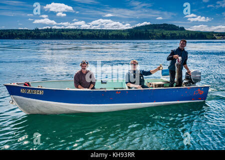 Trois hommes montrant des poissons qu'ils ont capturés, le saumon, en petit bateau, dans le détroit de Johnstone, au large de l'île de Vancouver, en Colombie-Britannique, au Canada Banque D'Images