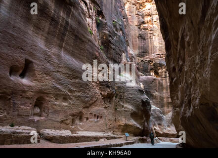 Man Walking in empty Siq gorge de grès rose in early morning light, Petra, Jordanie, Moyen-Orient, avec baetyls ou niches sculptées en pierre sacrée Banque D'Images