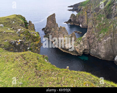 dh WEST COAST FAIR ISLE Cliffs depuis le rocher du haut de la falaise l'apogée Banque D'Images