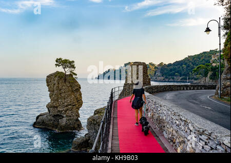 Europe. Italie. Ligurie. Golfe du Tigullio, Riviera italienne. Le tapis rouge reliant Rapallo à Portofino et le rocher de Cadrega Banque D'Images