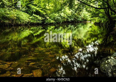 Rivière dart près de New Bridge, Dartmoor National Park, Devon, Angleterre Banque D'Images