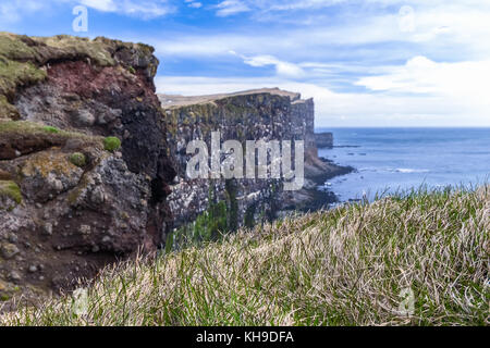 Latrabjarg Islande Westfjords, falaises d'oiseaux Banque D'Images