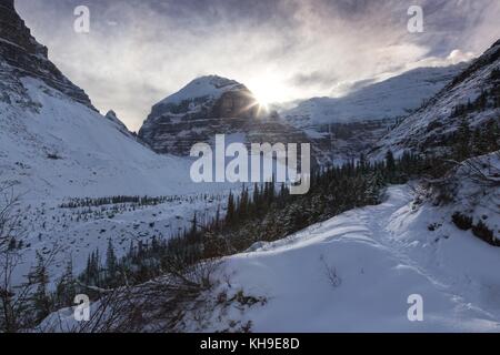 Soleil de l'après-midi et paysage lointain de Snowy Mountain sur le sentier de randonnée Plain of six Glaciers, au-dessus du parc national du lac Louise Banff Rocheuses canadiennes Banque D'Images