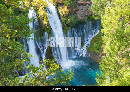 Stock photo paysage burney chute près de lake shasta en Californie du nord. Burney Falls est la chute d'eau plus épique que j'ai jamais vu. Banque D'Images