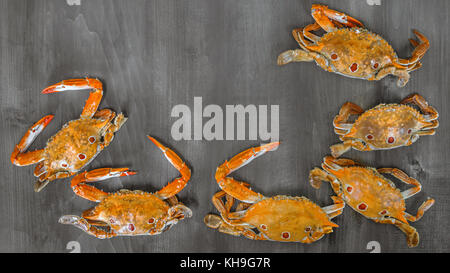 Cadre de l'alimentation avec du crabe crustacé . sur fond de bois Banque D'Images