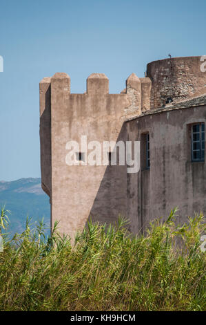 Corse : la citadelle de saint-florent, populaire lieu de vacances d'été sur la côte ouest connue sous le nom de corse saint-tropez, construit en 1439 Banque D'Images