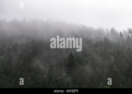 Mist couvrant les plus sombre des montagnes Banque D'Images