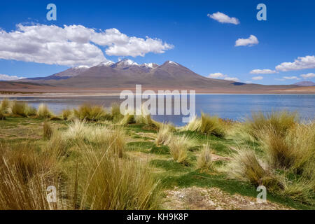 Dans l'Altiplano sud lipez laguna reserva Eduardo Avaroa, Bolivie Banque D'Images