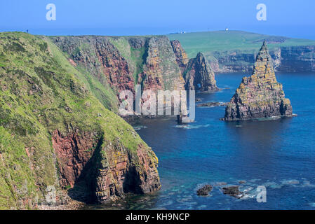 Duncansby Stacks, pinacles rocheux au sud de Duncansby Head près de John O' Groats, caithness, highland, highlands, Scotland, UK Banque D'Images