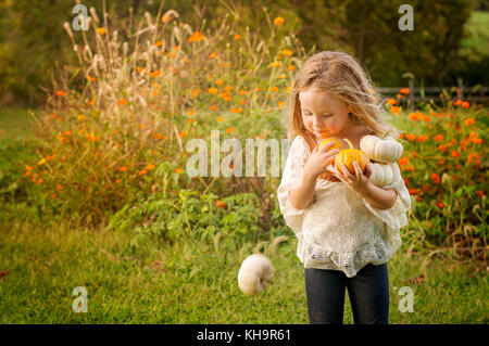 Young Girl holding pumpkins Banque D'Images