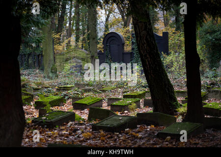 Tombes des soldats juifs allemands de la première Guerre mondiale dans le cimetière juif de Weißensee à Berlin, en Allemagne Banque D'Images