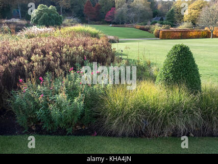 Un grand jardin paysager à l'automne, avec des plantes vivaces, arbres et arbustes à feuilles persistantes, le jardin de Harlow Carr, Harrogate, Yorkshire UK Banque D'Images