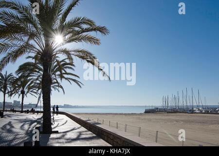 PALMA DE MAJORQUE, ESPAGNE - 11 mars 2017 : ensoleillée Playa de Palma matin le long de la promenade le 11 mars 2017 à Majorque, Espagne. Banque D'Images