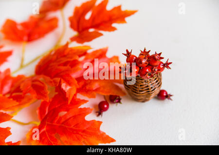 Aubépine en vase et feuilles d'érable rouge concept automne Banque D'Images