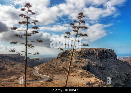 Vues d'en haut à Degollada de La Yegua mirador vers la côte sud de Gran Canaria avec un cycliste sur la route vide, îles de Canaries, Espagne Banque D'Images