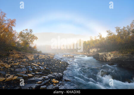 Abiskojakka brouillard voûte au-dessus de la rivière, abisko canyon, rivière paysage en automne à matin brouillard, Abisko National Park, Suède Banque D'Images
