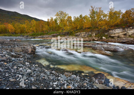 Abiskojakka la rivière coule à travers la rivière abisko canyon, rivière paysage en automne, Abisko National Park, Suède Banque D'Images