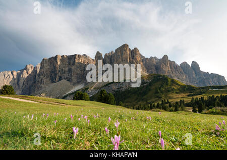 Groupe du Sella avec piscadu, Val Gardena pass, Passo Gardena, parc naturel de Puez Geisler, dolomites, Selva di Val Gardena Banque D'Images