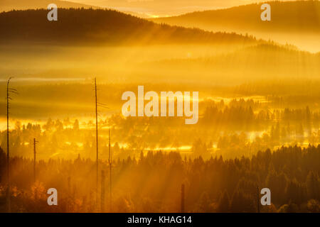 Brouillard matinal dans le parc national de Sumava en République tchèque, Šumava, vue de Siebensteinkopf, près de Finsterau, Forêt bavaroise Banque D'Images