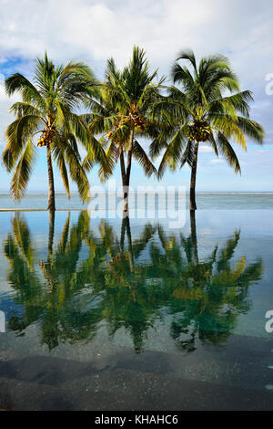 Palmiers, piscine à débordement du maradiva villas resort, l'île Maurice, océan Indien Banque D'Images