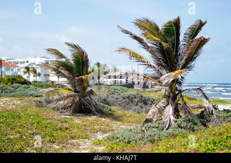 Silver Sands Beach silversands ; ; ; Christ Church Barbados Banque D'Images