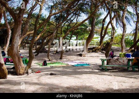 Silver Sands Beach silversands ; ; ; Christ Church Barbados Banque D'Images