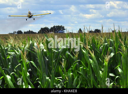 La pulvérisation du tracteur de l'air champ de maïs. Ag l'aviation est un élément majeur dans la production de denrées alimentaires ainsi que le contrôle des insectes du monde entier. Banque D'Images