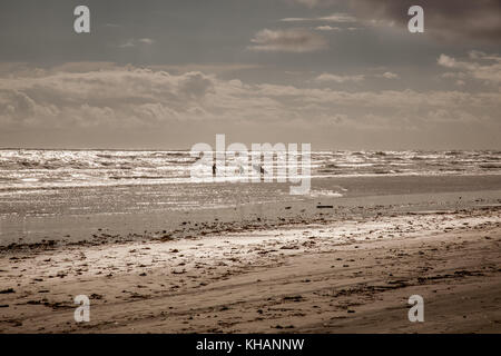 Silhouettes de surfeur sur Daytona Beach en Floride, USA. Banque D'Images