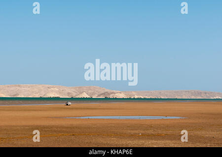 Ras al Hadd, Oman Banque D'Images