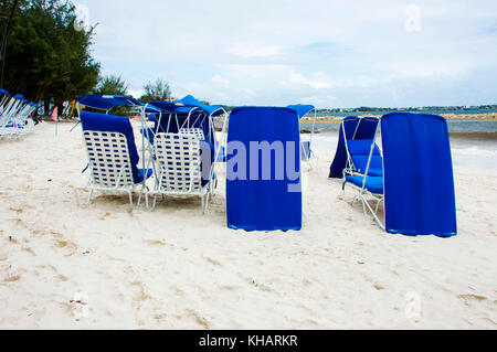 Causarina Dover Beach ; ; ; Christ Church Barbados Banque D'Images