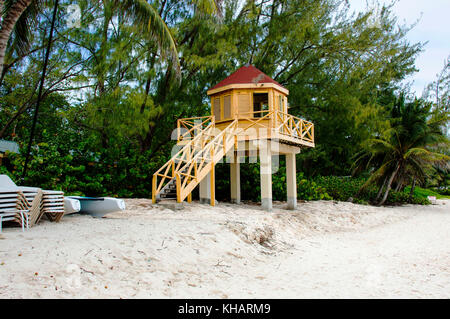 Causarina Dover Beach ; ; ; Christ Church Barbados Banque D'Images