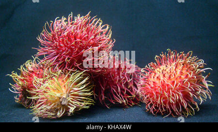 Fruits exotiques de litchi Ramboutan Banque D'Images